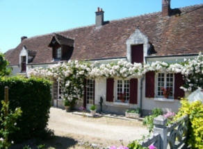 white roses on a house at the Chedigny rose festival  